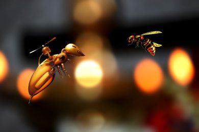 drones miniaturizados robô inseto abelha robô
